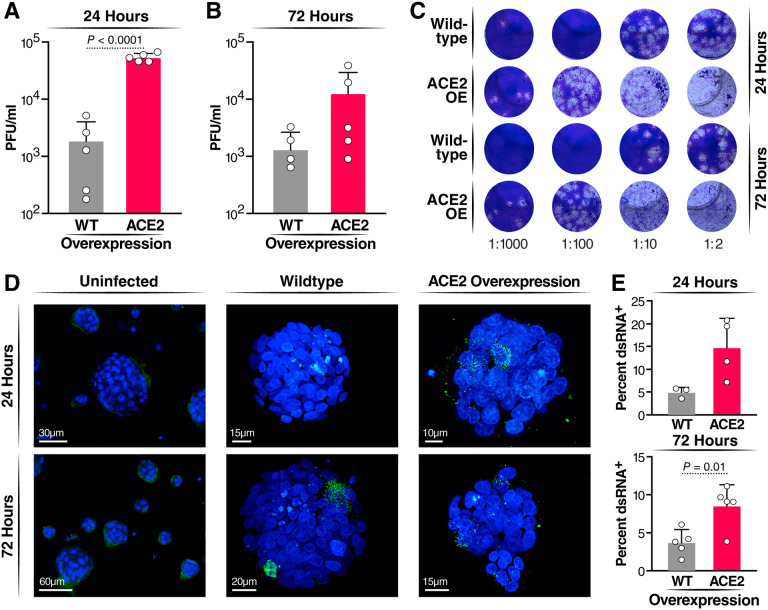 Figure 2: