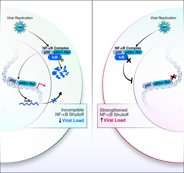 Figure 6: