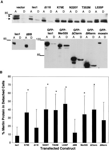 Figure  3