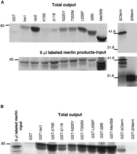 Figure  2