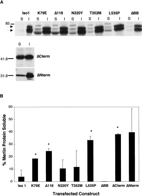 Figure  4