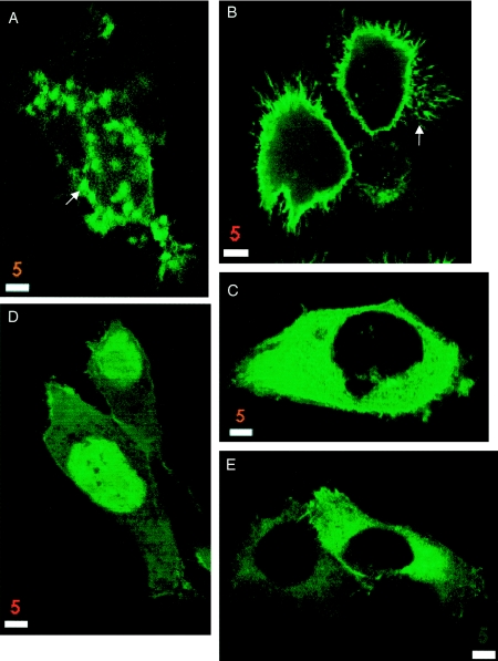 Figure  6