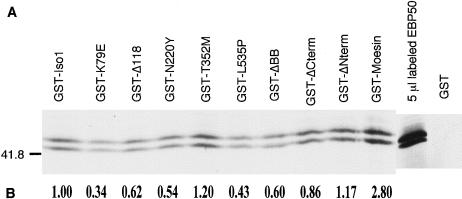 Figure  7