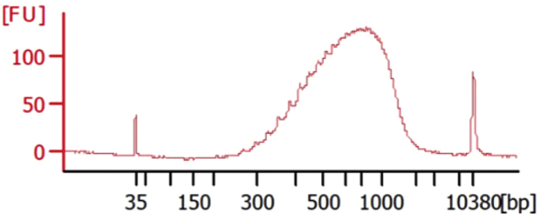 Figure 23