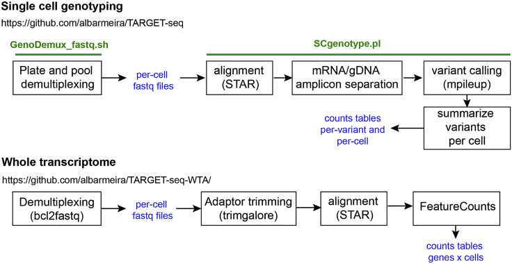 Figure 24