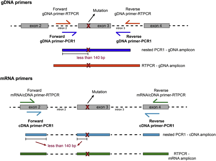 Figure 4