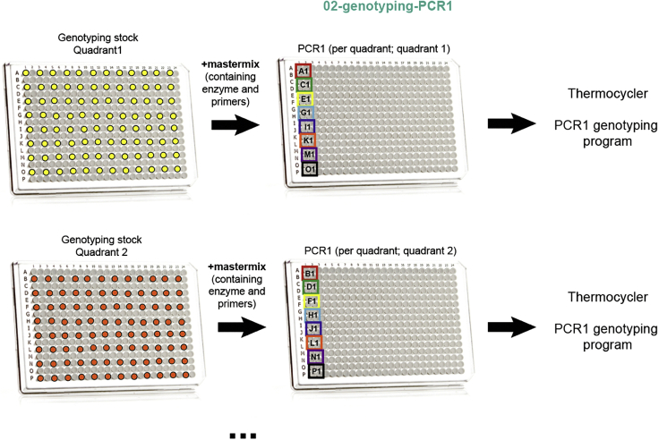 Figure 14