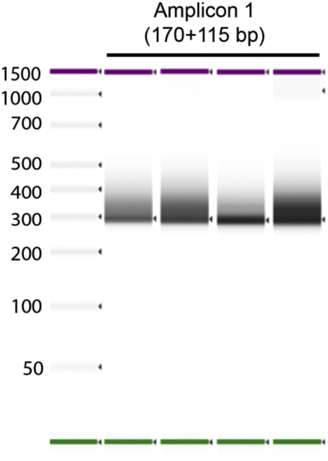 Figure 21