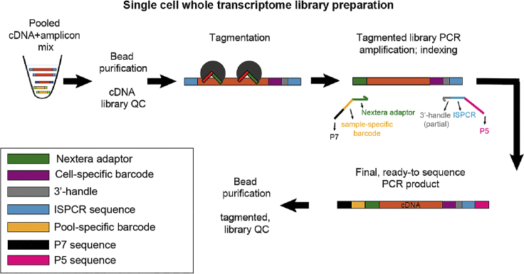 Figure 22