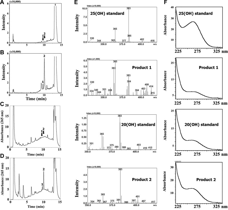 Figure 6.