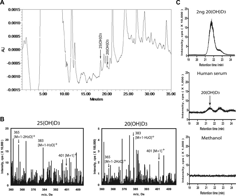 Figure 11.