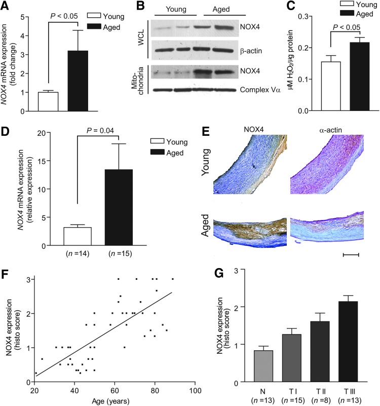 FIG. 8.