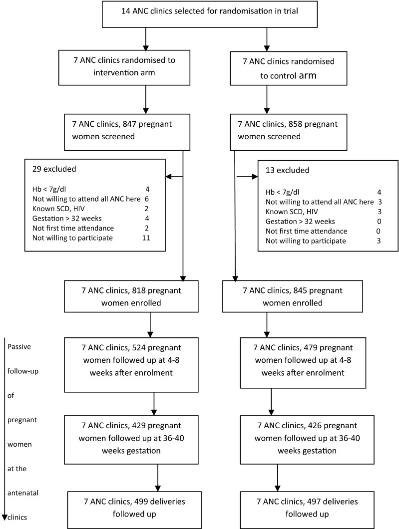 Fig. 4