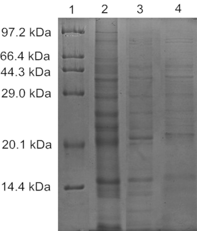 Fig. 4