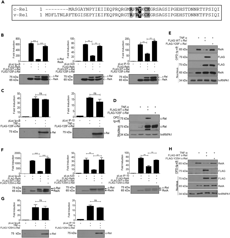 Figure 6