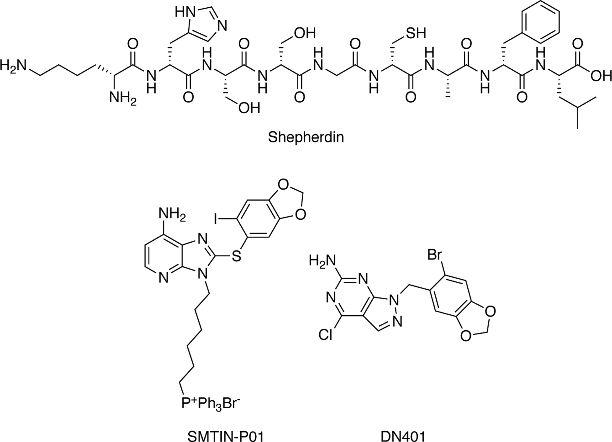 Fig. 12.