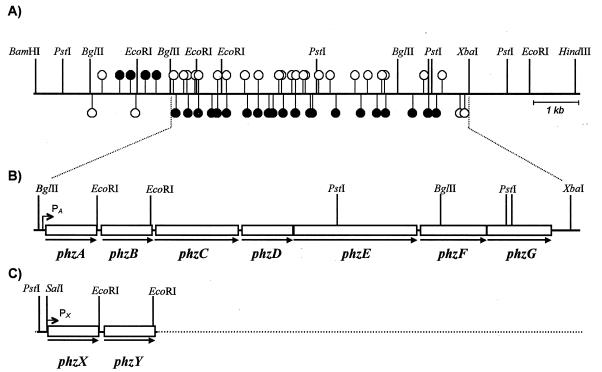 FIG. 1