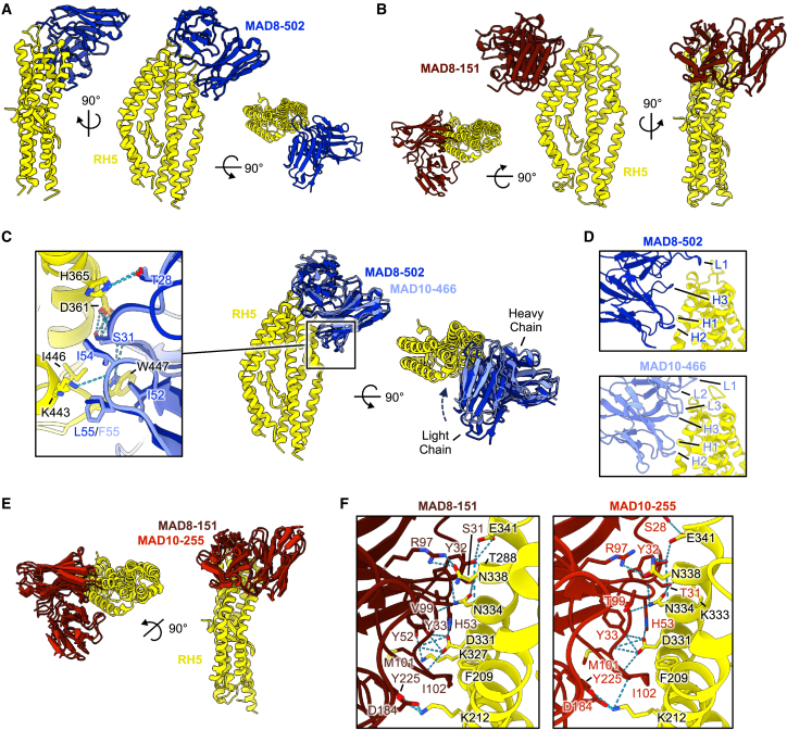 Figure 6