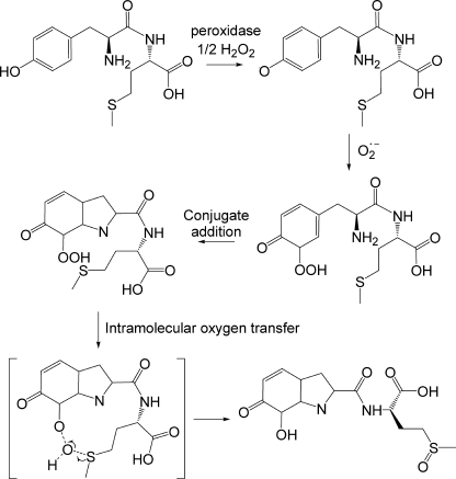 FIGURE 7.