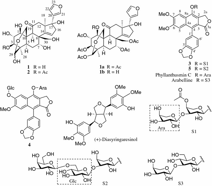 Fig. 1