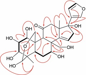 Fig. 2