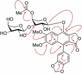 Fig. 4