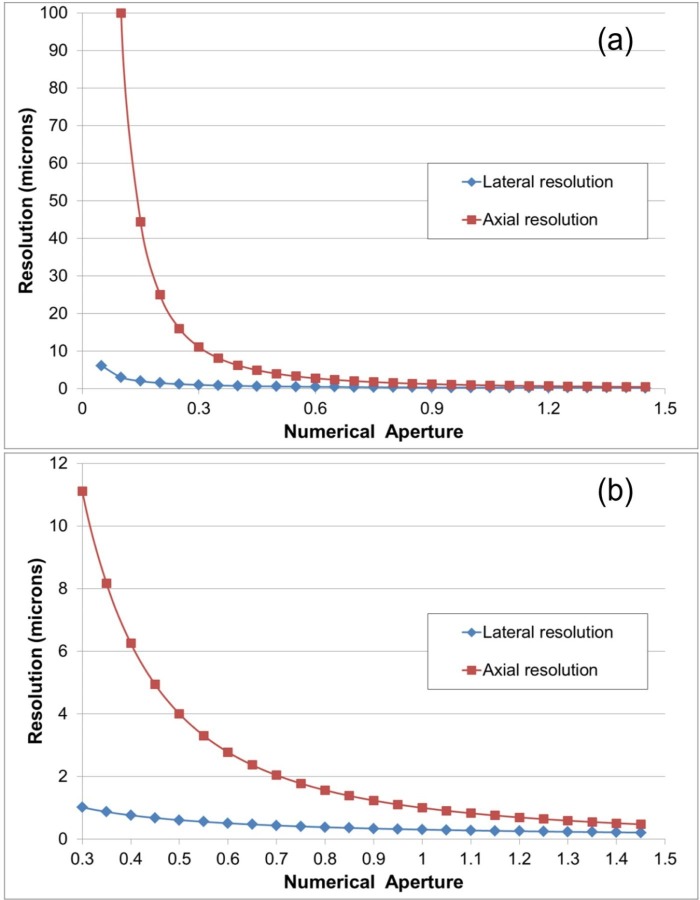 Figure 1—figure supplement 1.