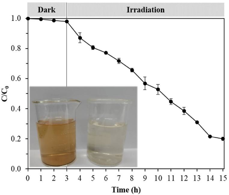 Fig. 15