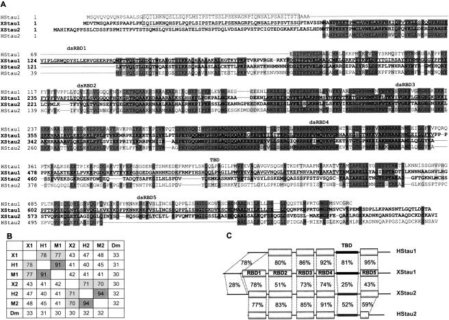 FIGURE 1.