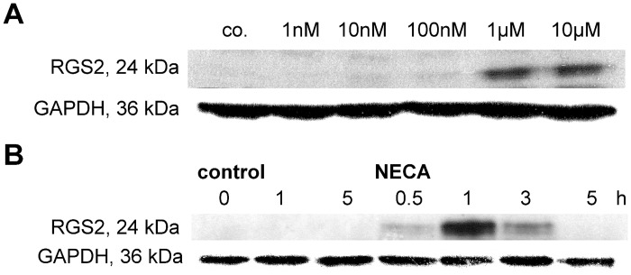 Fig 5