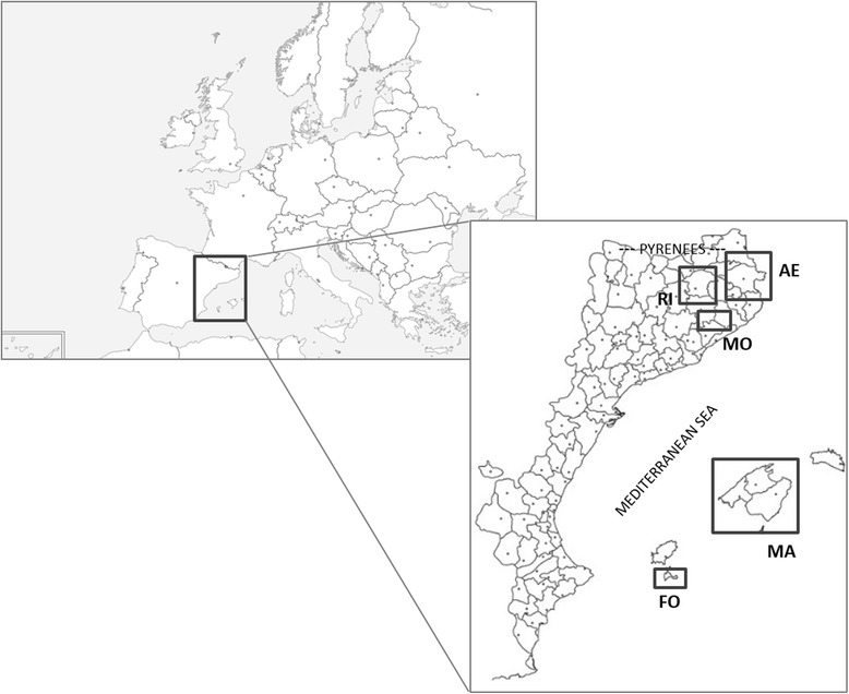 Fig. 1