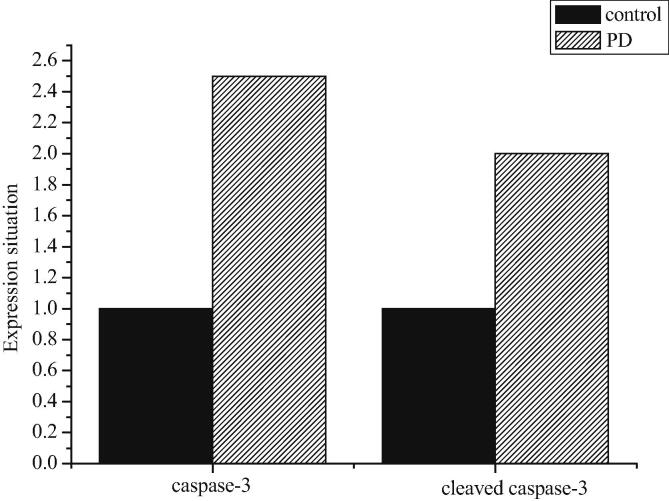 Fig. 11