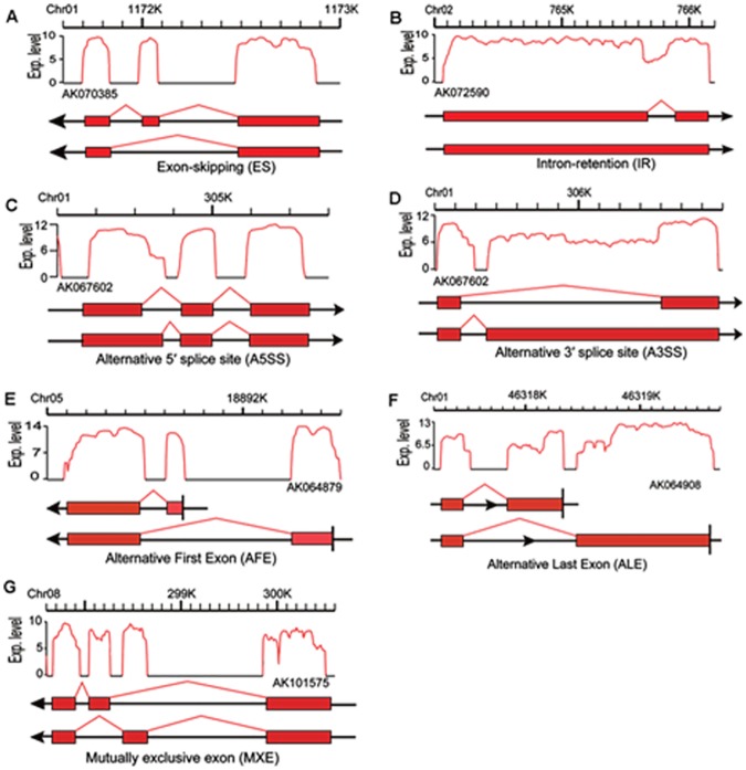 Fig 6