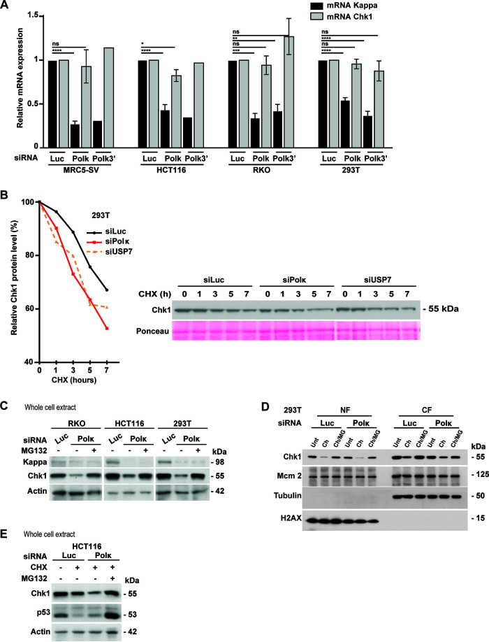 FIG 6