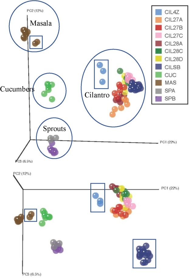 FIGURE 1