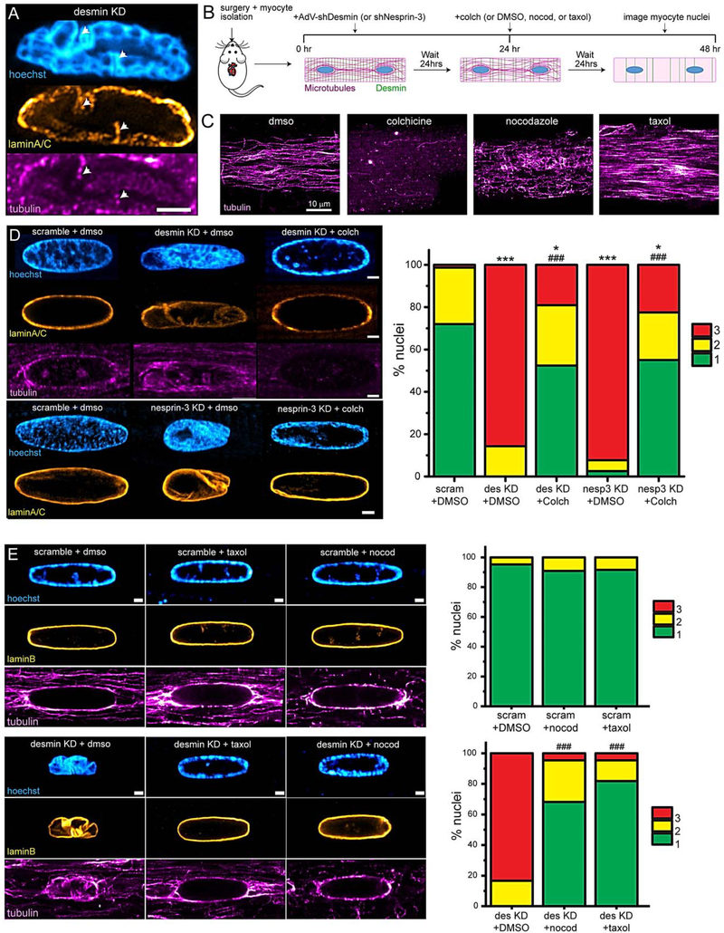 Figure 3: