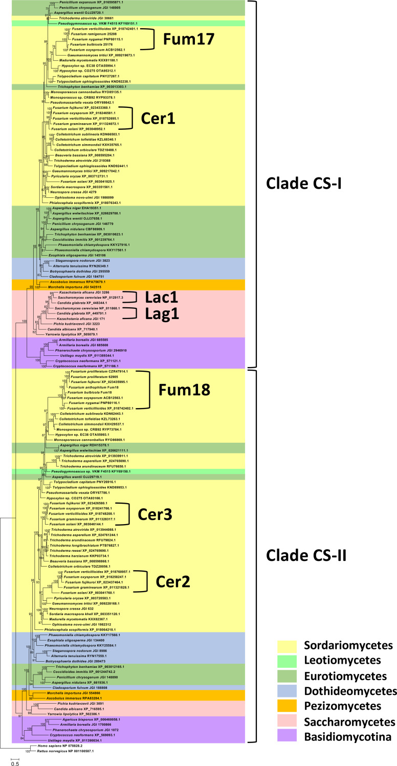 FIG 4