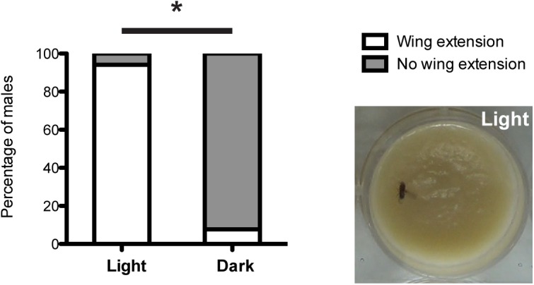 Fig 5