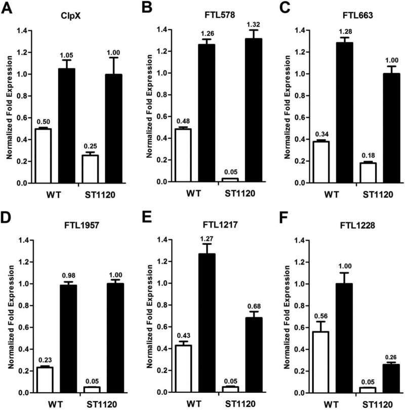 FIG 8