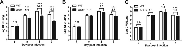 FIG 3