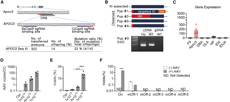 Figure 3