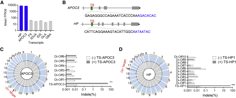 Figure 1