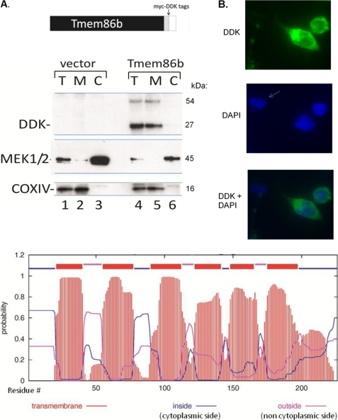 FIGURE 9.