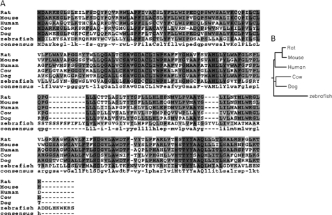 FIGURE 7.