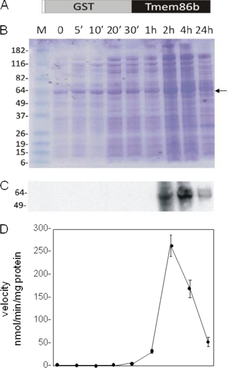 FIGURE 10.