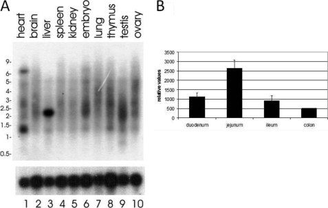 FIGURE 11.