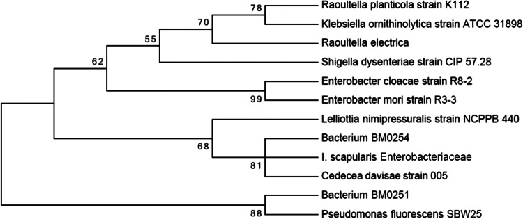 FIG 5