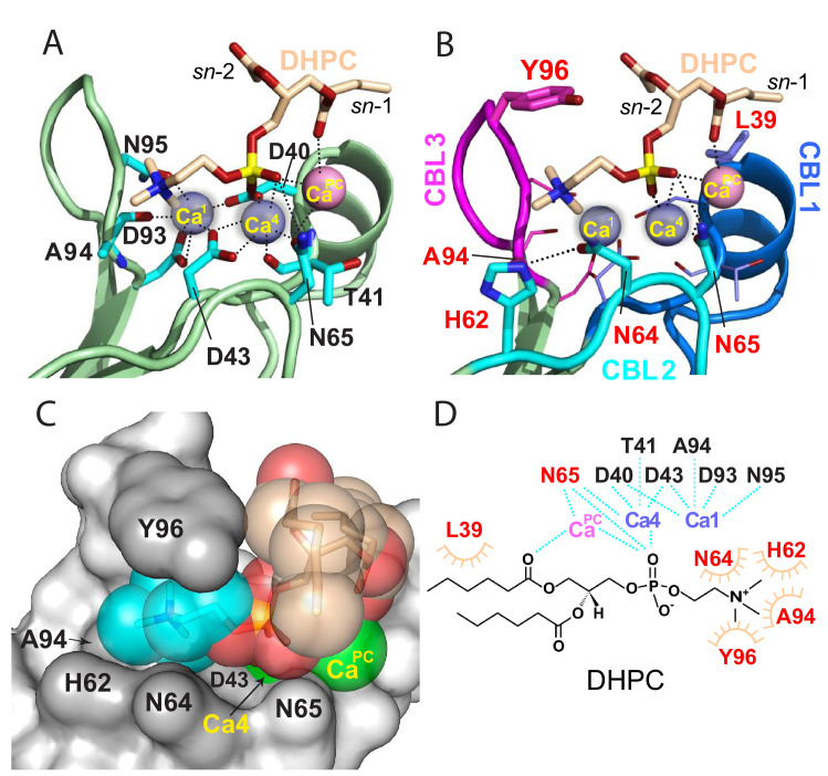 Figure 2.