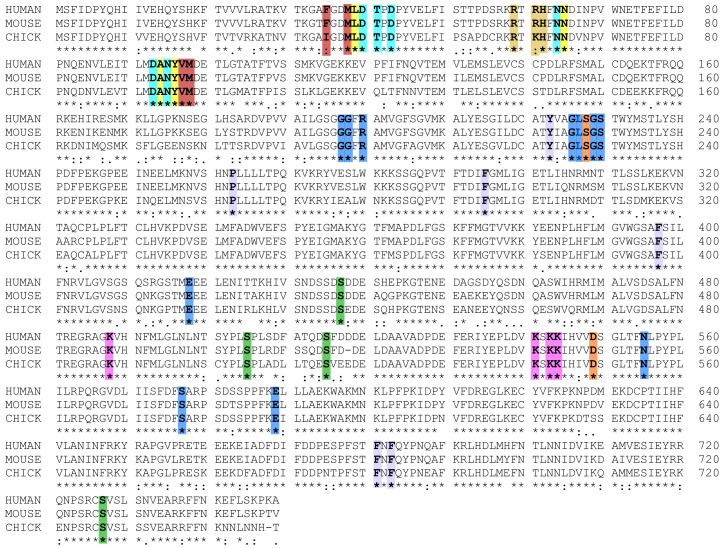 Figure 1—figure supplement 1.