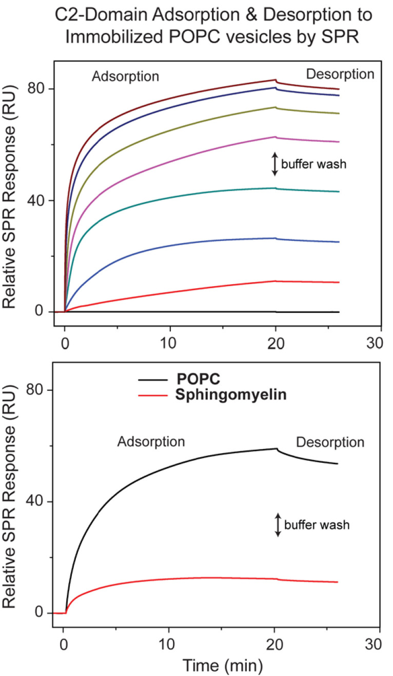 Figure 4—figure supplement 2.